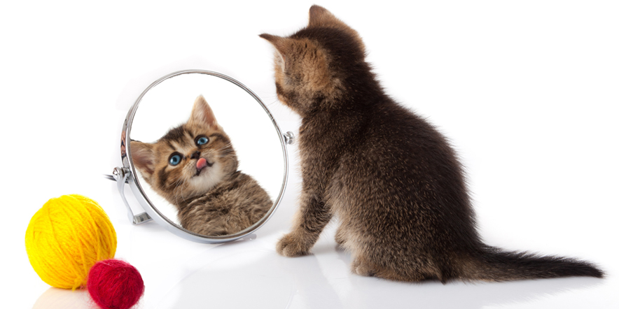 Management Mistakes You Don’t Know You’re Making